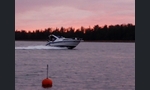 Bayliner 2850 Contessa Sunbridge-kuva-12